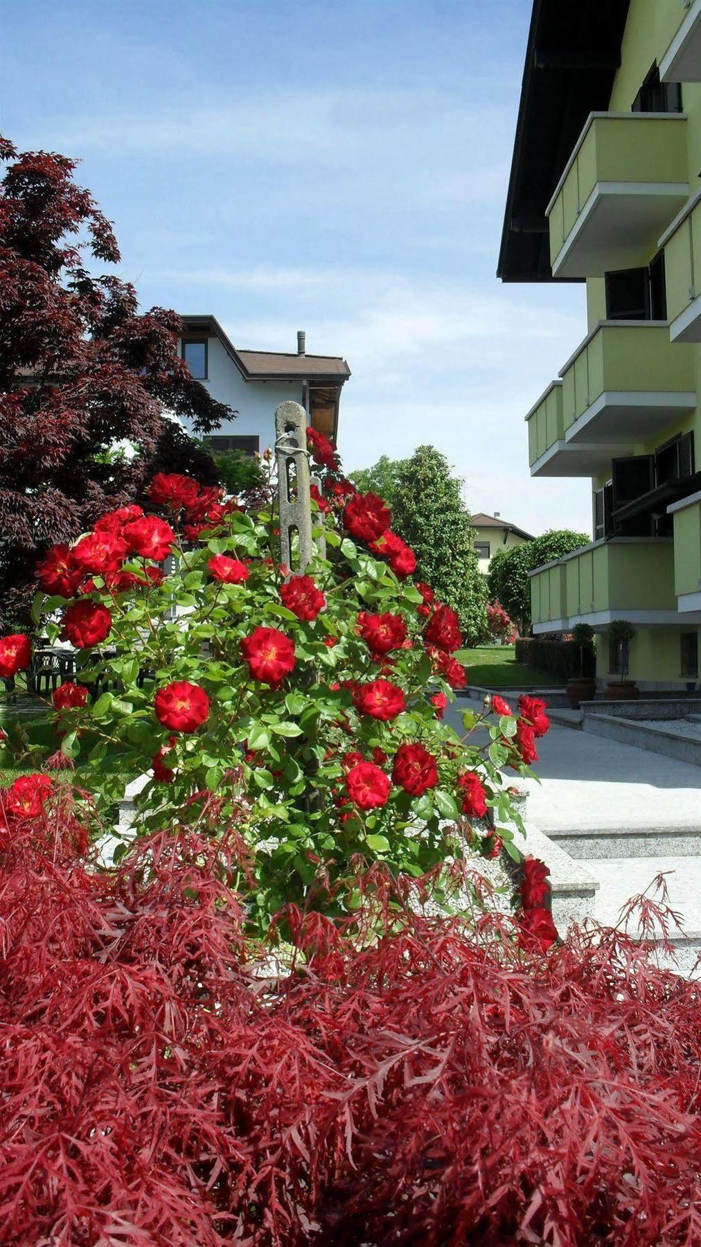 Albergo Residence Isotta Veruno Экстерьер фото